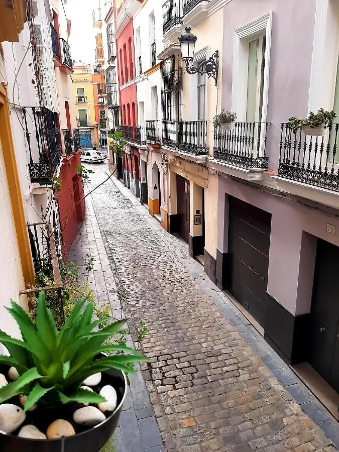 Bohemian & Suites Catedral -Parking Séville