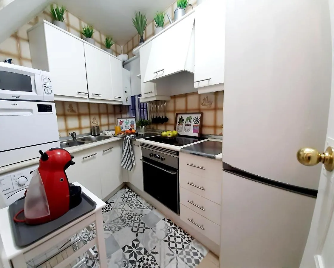 Bohemian & Suites Catedral -Parking Seville Apartment